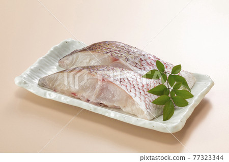 Red snapper fillet 77323344