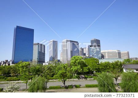大阪商業園 2021 初夏 大阪商業園 2021 初夏 77323371