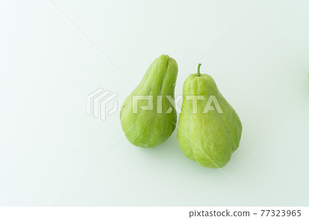 佛手瓜 77323965