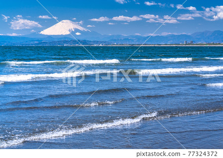 《神奈川縣》片瀨西濱/富士山海岸 《神奈川縣》片瀨西濱/富士山海岸 77324372
