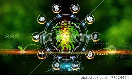 Flower Icon Concept Green environment with Center and spoke Concept ,Plant on center and rotating Icons 77324474