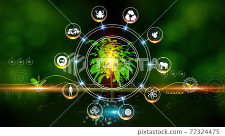 Ecology Concept Green environment with Center and spoke Concept ,Plant on center and rotating Icons 77324475