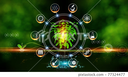 Biotechnology Concept Green environment with Center and spoke Concept ,Plant on center and rotating Icons 77324477