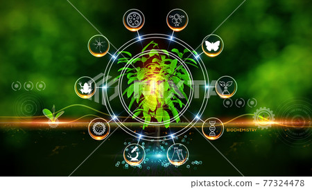 Biochemistry Concept Green environment with Center and spoke Concept ,Plant on center and rotating Icons Biochemistry Concept Green environment with Center and spoke Concept ,Plant on center and rotating Icons 77324478
