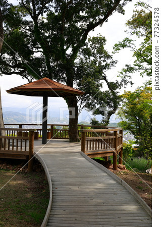 Forest bathing 77324578