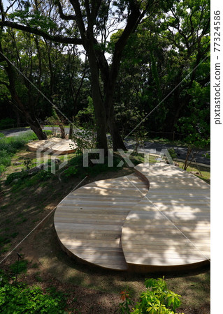Forest bathing 77324586