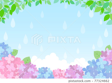 Hydrangea background frame in the rainy season ☆ Many variations 77324662