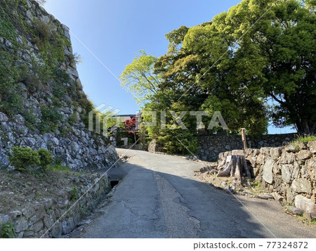 陽光明媚的松阪城和石垣 陽光明媚的松阪城和石垣 77324872
