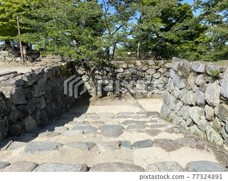 陽光明媚的松阪城和石垣 陽光明媚的松阪城和石垣 77324891