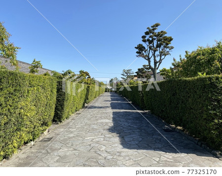 步行穿過城堡衛隊住宅 步行穿過城堡衛隊住宅 77325170