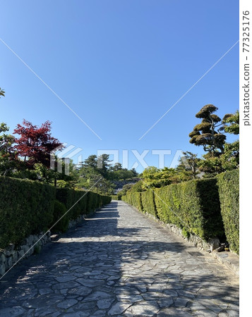 步行穿過城堡衛隊住宅 步行穿過城堡衛隊住宅 77325176