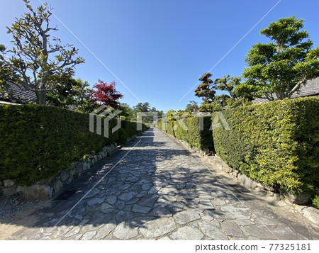 步行穿過城堡衛隊住宅 步行穿過城堡衛隊住宅 77325181