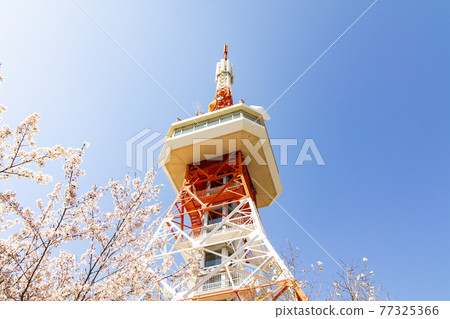 Utsunomiya塔在春天 Utsunomiya塔在春天 77325366