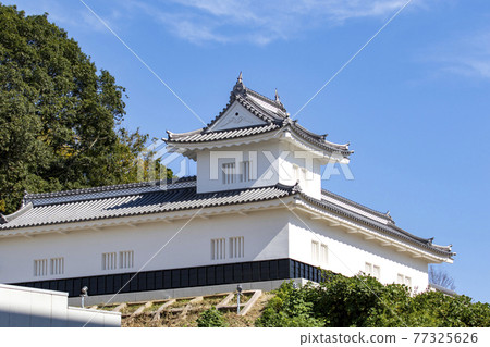 The restored Mito Castle Ruins 77325626