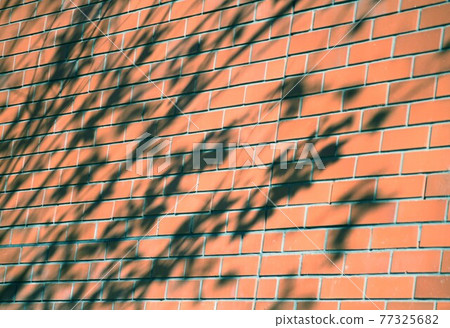 The shadow of the tree reflected on the wall The shadow of the tree reflected on the wall 77325682