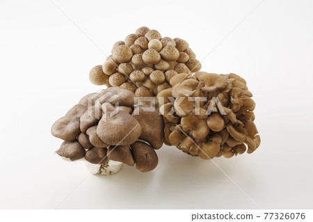 Hiratake Bunashimeji Maitake mushrooms 3 types 77326076