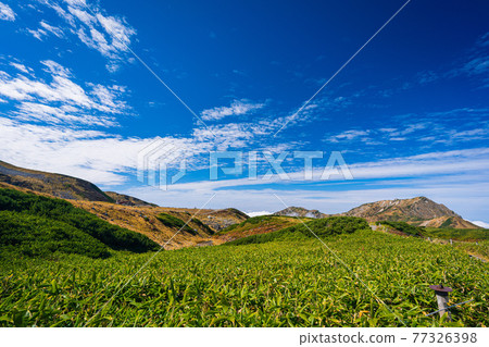 Beautiful scenery of Tateyama Murodo in autumn 77326398