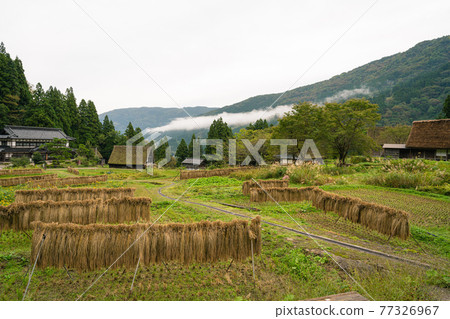 世界遺產富山五箇山相倉村 77326967