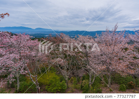 21 奈良縣吉野町奧千本步行高城山展望台 照片素材 圖片 圖庫