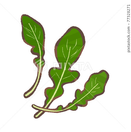 arugula  77328271