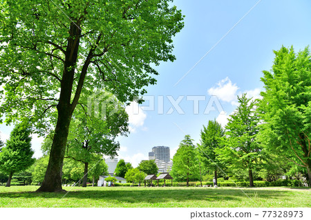 Metropolitan Musashi Kokubunji Park (Kokubunji City, Tokyo) [2021.4] 77328973