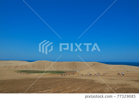 Tottori sand dunes 77329085