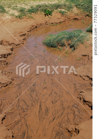 Tottori sand dunes Tottori sand dunes 77329091