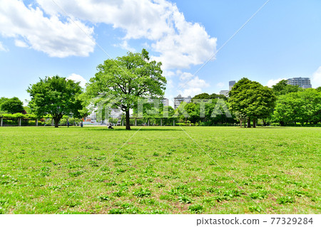 Metropolitan Musashi Kokubunji Park (Kokubunji City, Tokyo) [2021.4] 77329284