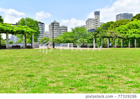 Metropolitan Musashi Kokubunji Park (Kokubunji City, Tokyo) [2021.4] 77329286