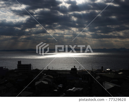 Shining sea 77329628