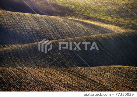 Beautiful spring landscape. Waves on the field - Moravian Tuscany Czech Republic. Beautiful spring landscape. Waves on the field - Moravian Tuscany Czech Republic. 77330029