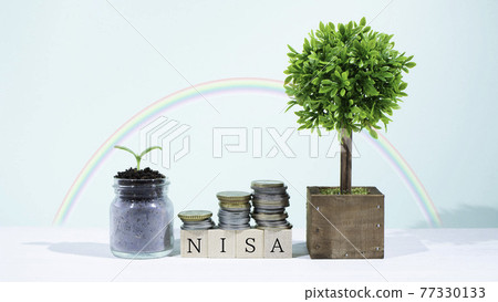 NISA 或儲蓄 NISA 如何增加資金 77330133