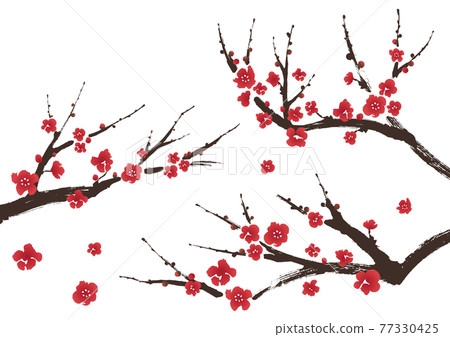 Plum branch illustration 77330425