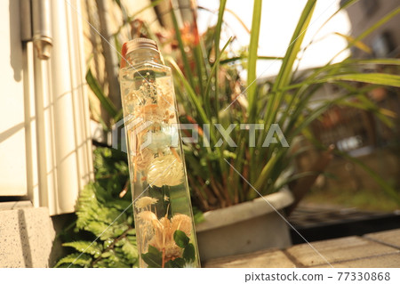 標本館和植物標誌 標本館和植物標誌 77330868
