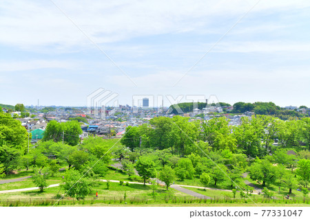 View toward Higashimurayama from Tamako Dam / Sayama Park (Higashimurayama City, Tokyo) [2021.4] 77331047