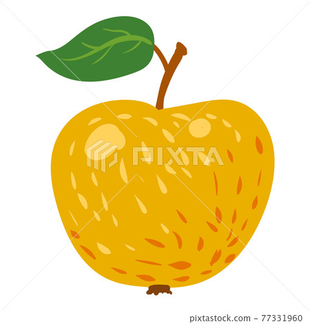 Apple yellow fruit, healthy organic nutrition product. Vector cartoon flat trendy illustration hand drawn isolated Apple yellow fruit, healthy organic nutrition product. Vector cartoon flat trendy illustration hand drawn isolated 77331960
