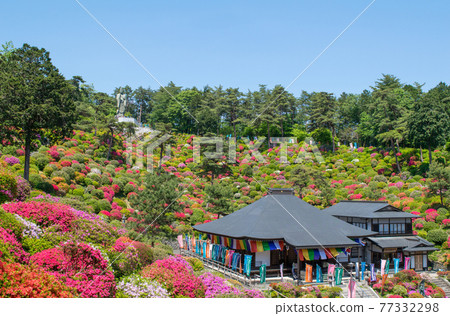 青梅市鹽船觀音杜鵑花節 青梅市鹽船觀音杜鵑花節 77332298