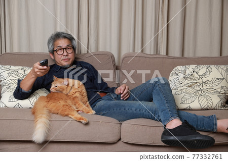 Living Room 77332761