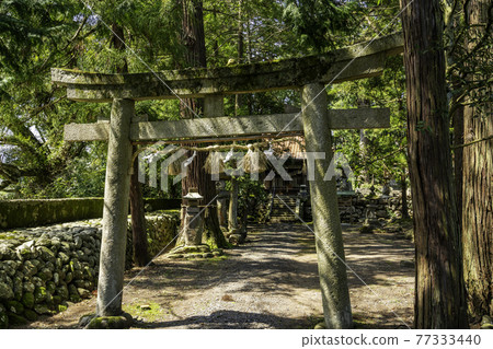 Menuma Shrine, Menuma Shrine, Torii, Tottori City, Tottori Prefecture 77333440