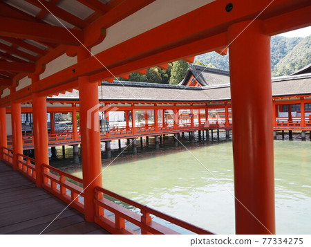 嚴島神社 嚴島神社 77334275