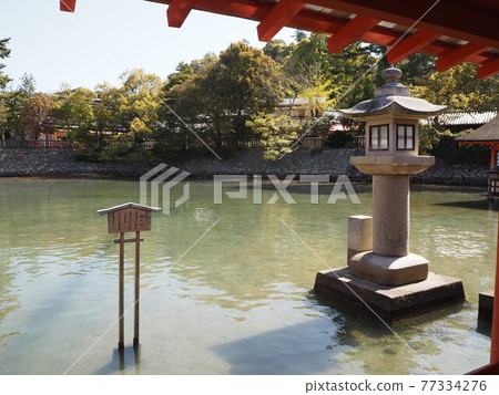 嚴島神社 嚴島神社 77334276