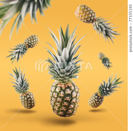 Fresh ripe pineapple with leaves falling in the air. pineapple isolated on yellow background. fresh fruit levitation concept. 77335195