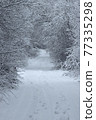 Country road through the winter forest. 77335298