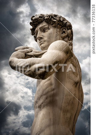 The David by Michelangelo - Piazza della Signoria Florence Italy The David by Michelangelo - Piazza della Signoria Florence Italy 77336138