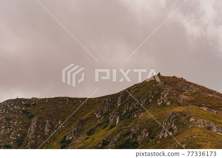 The majestic Carpathians in all the peace and quiet, the beauty and grandeur of the Ukrainian mountains. 77336173
