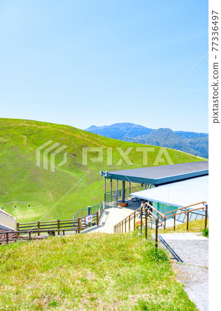 伊豆大室山的風景(春季) 伊豆大室山的風景(春季) 77336497