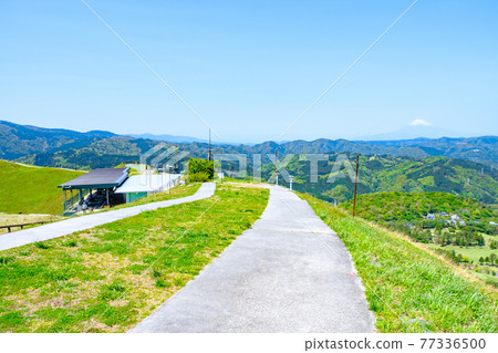 伊豆大室山的風景(春季):俯瞰富士山 伊豆大室山的風景(春季):俯瞰富士山 77336500