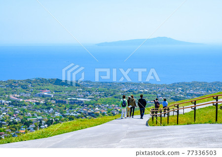 伊豆大室山的風景（春季）：俯瞰灘相模和伊豆大島 77336503