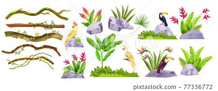 Jungle stone vector object set, exotic plants, liana collection, tropical flowers, parrot, toucan 77336772