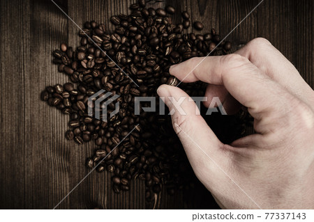 A man holds with his hand a coffee bean on a wooden background and a large amount of grain. Top view. A man holds with his hand a coffee bean on a wooden background and a large amount of grain. Top view. 77337143